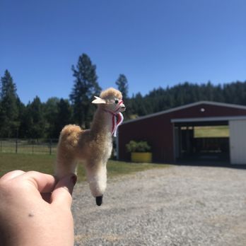 Seven Stars Ranch - Alpaca made from alpaca fur from the gift shop - Ranches Near Me - Coeur d'Alene, Idaho Seven Stars Ranch - Alpaca made from alpaca fur from the gift shop - Ranches Near Me - Coeur d'Alene, Idaho