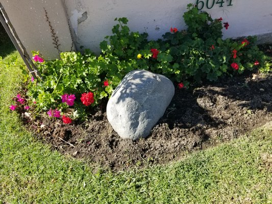 Cottage At Artesia Gardens by null