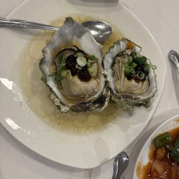 Jade Garden - Steamed Oysters With Black Bean Sauce - Chinese Near Me - Boston, Massachusetts Jade Garden - Steamed Oysters With Black Bean Sauce - Chinese Near Me - Boston, Massachusetts