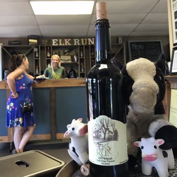 Elk Run Vineyards - Making friends with the big Elk Run cow. - Wineries Near Me - Mt Airy, Maryland Elk Run Vineyards - Making friends with the big Elk Run cow. - Wineries Near Me - Mt Airy, Maryland