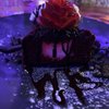 Lit Kitchen & Lounge gift card