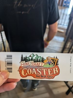 Alpine Slide at Magic Mountain by null