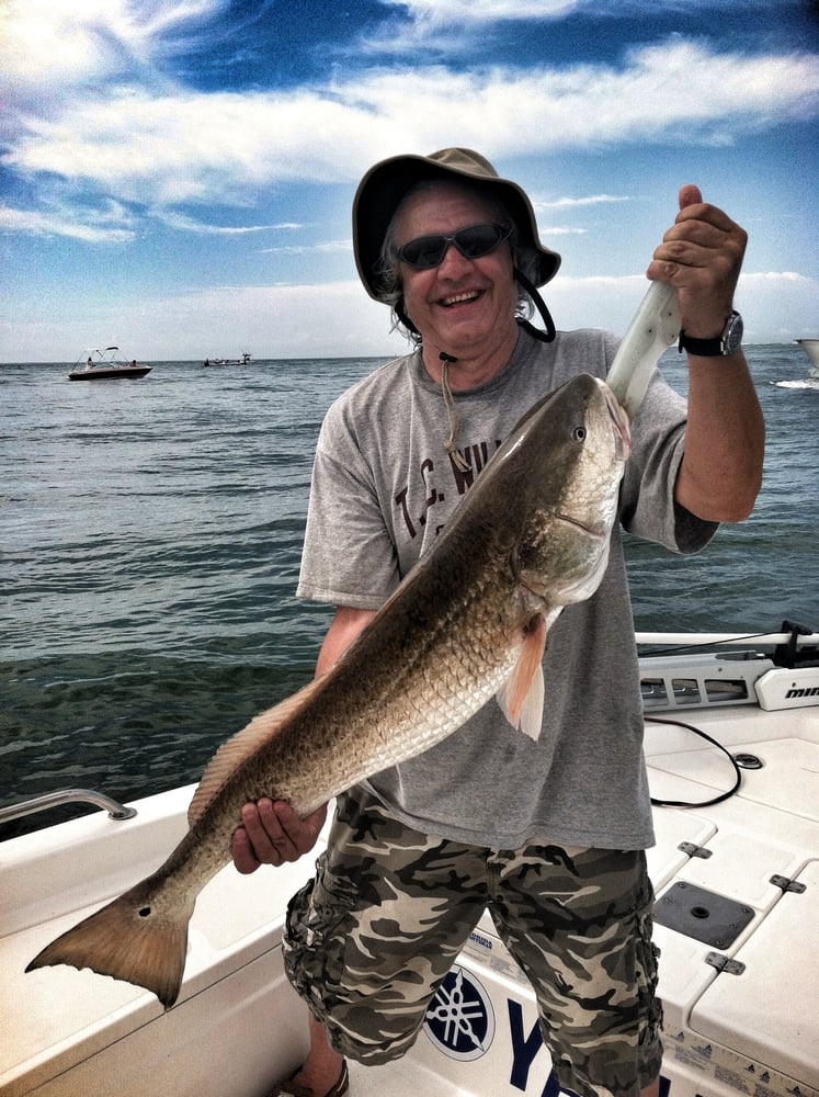 The Davis Team - New South Realtors - property management company in Madison, AL