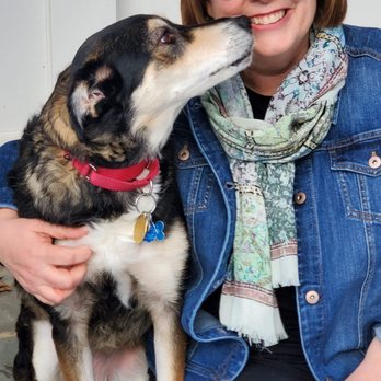1. Fetch! Pet Care Providence-Bay Area