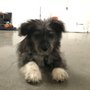 Photo of Karmic Rescue Without Borders