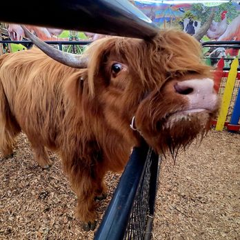 Florida State Fairgrounds - Festivals Near Me - Tampa, Florida Florida State Fairgrounds - Festivals Near Me - Tampa, Florida
