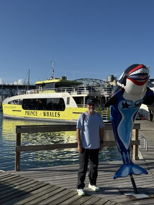 Prince of Whales - Whale & Marine Wildlife Adventures Vancouver by null
