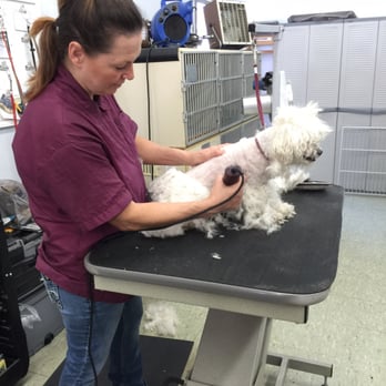K-9 Kastle - Another day at Lindas K9 Kastel - Pet Groomers Near Me - Buena Park, California K-9 Kastle - Another day at Lindas K9 Kastel - Pet Groomers Near Me - Buena Park, California