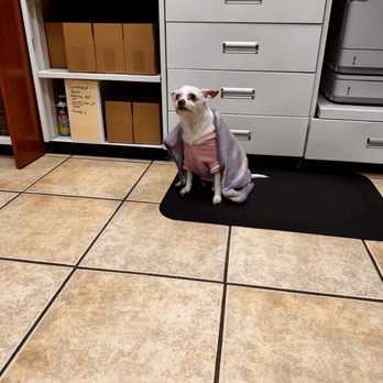 Specialty Care Pharmacy - Our boss Bella - Drugstores Near Me - Boca Raton, Florida Specialty Care Pharmacy - Our boss Bella - Drugstores Near Me - Boca Raton, Florida