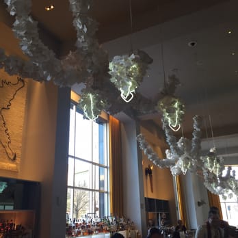 21c Museum Hotel Durham - Spiders - Hotels Near Me - Durham, North Carolina