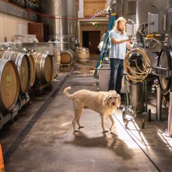 The Fullerton Winery