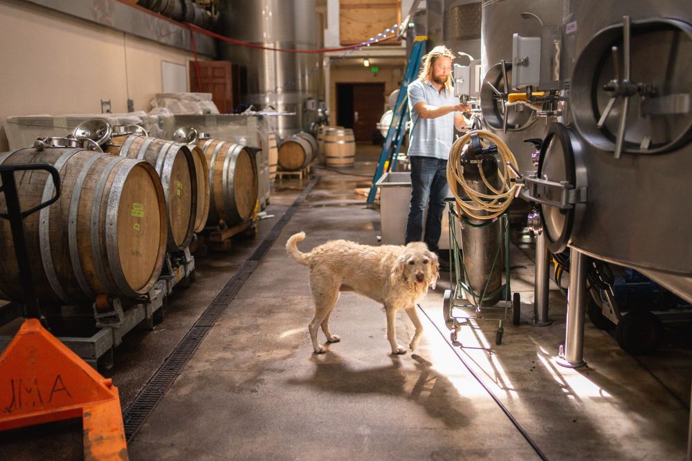 Social spots from The Fullerton Winery