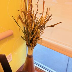 Quest Diagnostics - Dead Plant in Corner of Room