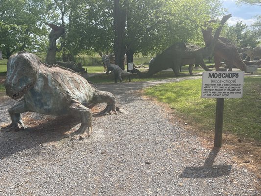 Dinosaur Land by null