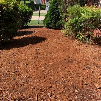 Fernando´s Tree Services - Tree Services Near Me - Stone Mountain, Georgia