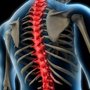 Photo of Robson G L, Chiropractor