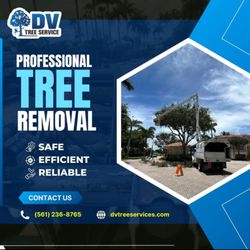 Daniel Valencia Tree Service - Contact us today for a free estimate.