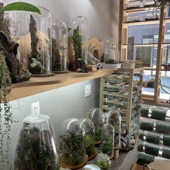 Jungle Box Studio - Art Classes Near Me - Los Angeles, California