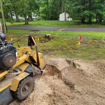 Wills Certified Tree Care - a tree stump being cut - Tree Services Near Me Wills Certified Tree Care - a tree stump being cut - Tree Services Near Me