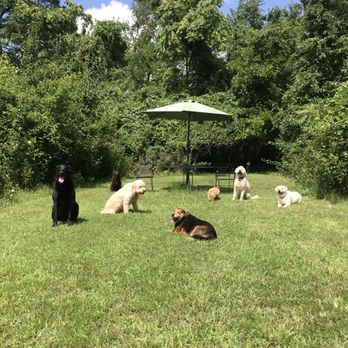 BYOD-DC Pet Sitting - Pet Sitting Near Me BYOD-DC Pet Sitting - Pet Sitting Near Me