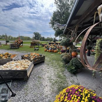 Hardy's Farm Market - Farmers Market Near Me - Victor, New York