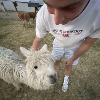 Olde LYFE Alpacas - Attraction Farms Near Me - Carson City, Nevada