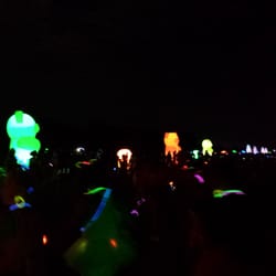 Electric Run