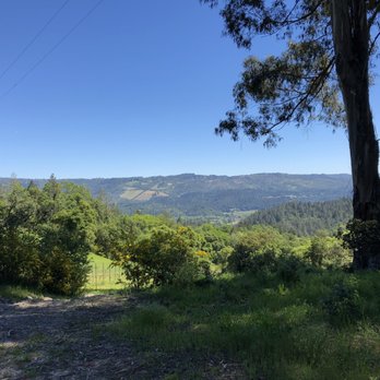 Stony Hill - Wineries Near Me - Saint Helena, California Stony Hill - Wineries Near Me - Saint Helena, California