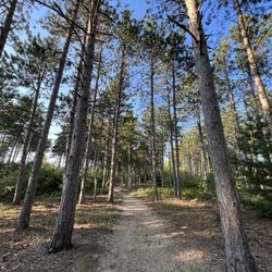Pigeon Creek Park