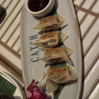 Catch - Wagyu Gyoza - Sushi Bars Near Me - Miami Beach, Florida Catch - Wagyu Gyoza - Sushi Bars Near Me - Miami Beach, Florida