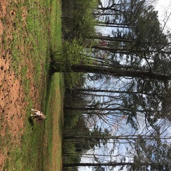 Caney Creek Preserve - Parks Near Me - Alpharetta, Georgia
