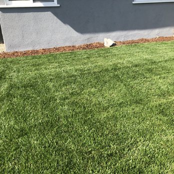 Rudy Landscape - Sod installed by Rudy - Landscaping Near Me