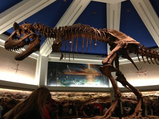 DINOSAUR by null