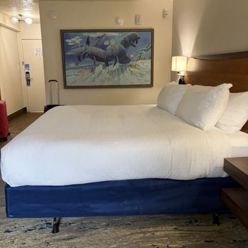 Guy Harvey Resort St Augustine Beach - Our king bed - Resorts Near Me - Saint Augustine Beach, Florida