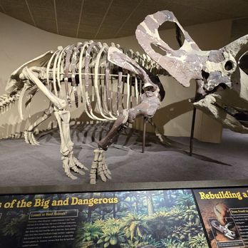 Milwaukee Public Museum - Museums Near Me - Milwaukee, Wisconsin Milwaukee Public Museum - Museums Near Me - Milwaukee, Wisconsin