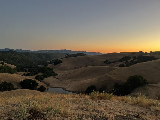 Briones Regional Park by null