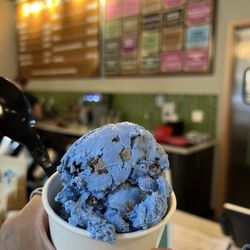 Swanky Scoop - Cookie Monster amazingness