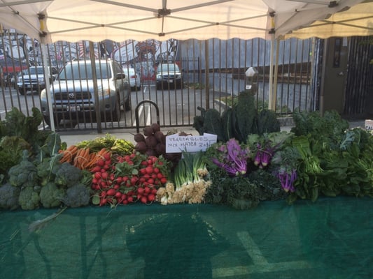 The Arts District Farmers Market by null