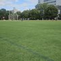 Photo of McCarren Park Track