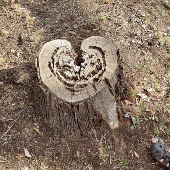 Sedona Healing Journey - Tours Near Me