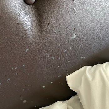 Best Western Plus - Ripped and dirty headboard. - Hotels Near Me - Victoria, British Columbia Best Western Plus - Ripped and dirty headboard. - Hotels Near Me - Victoria, British Columbia