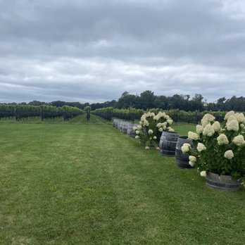 Ev&Em Vineyards - Beautiful view - Wine Tasting Room Near Me - Laurel, New York