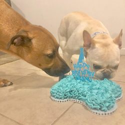 Cakes by Trini