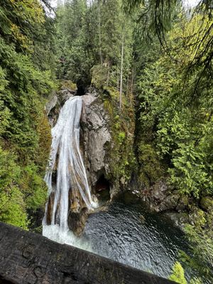Twin Falls Natural Area by null