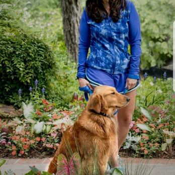 Grand Paws Pet Sitter - Grand Paws Pet Sitter Dog Walking Service - Dog Walkers Near Me - Plano, Texas Grand Paws Pet Sitter - Grand Paws Pet Sitter Dog Walking Service - Dog Walkers Near Me - Plano, Texas