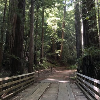 Big Basin Redwoods State Park - Parks Near Me - Boulder Creek, California