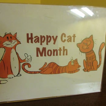 Taunton Public Library - Every month is happy cat month - Libraries Near Me - Taunton, Massachusetts Taunton Public Library - Every month is happy cat month - Libraries Near Me - Taunton, Massachusetts