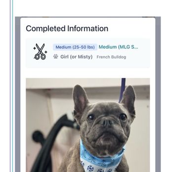Art Pet Mobile Grooming - Reps response - Pet Groomers Near Me - Santa Clara, California Art Pet Mobile Grooming - Reps response - Pet Groomers Near Me - Santa Clara, California