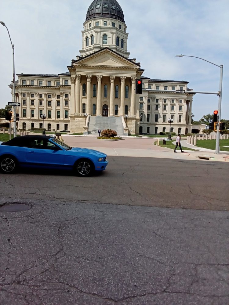 Henry and Rob's Small Tree Removal - tree service in Topeka, KS