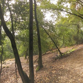Las Trampas Regional Wilderness - Parks Near Me - San Ramon, California Las Trampas Regional Wilderness - Parks Near Me - San Ramon, California